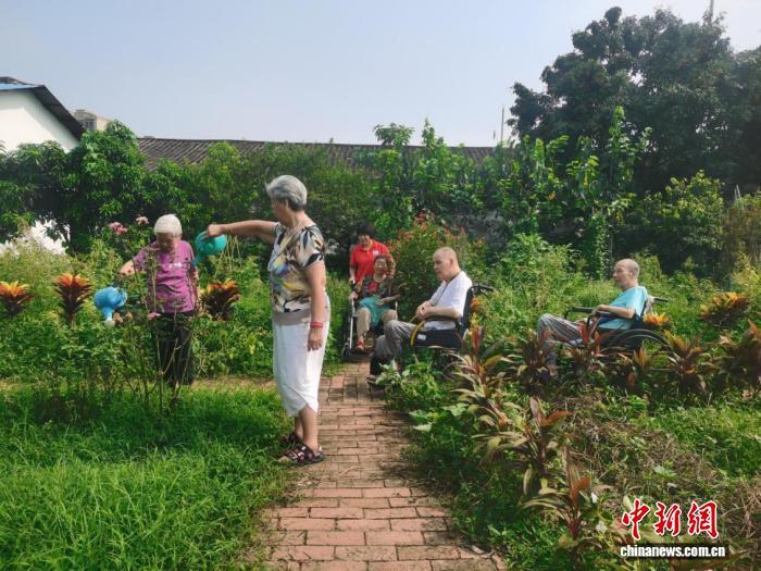 佛山一所养老社区环境优美，长者们在打理菜园。广东省民政厅 供图