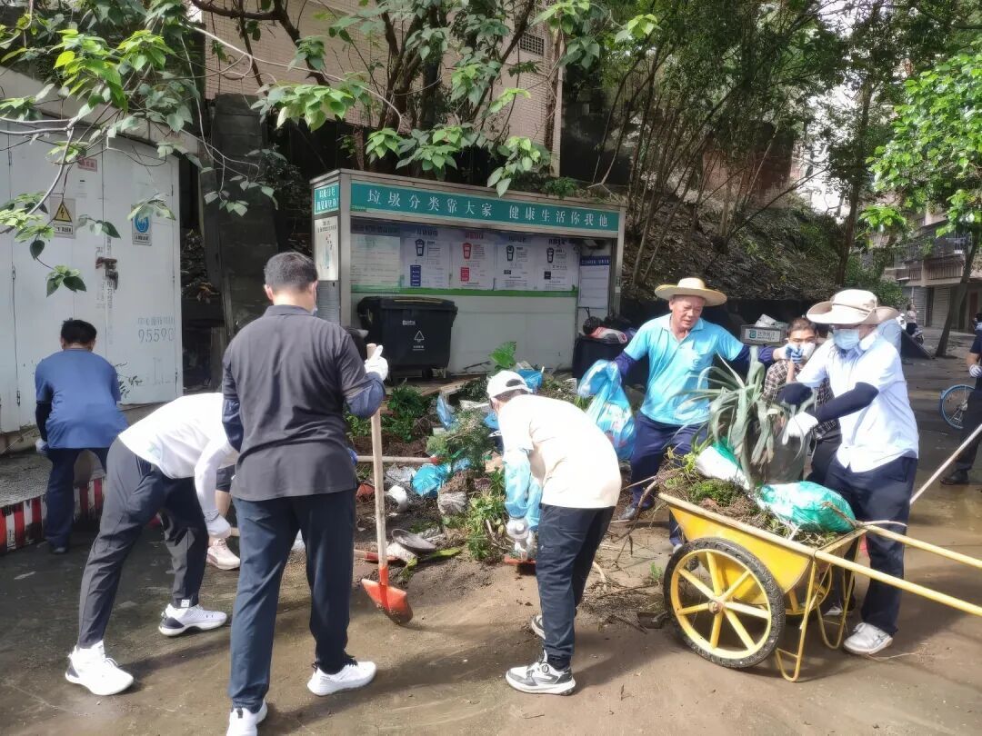 正在清理植物和废弃杂物的江门市蓬江区社区工作人员。
