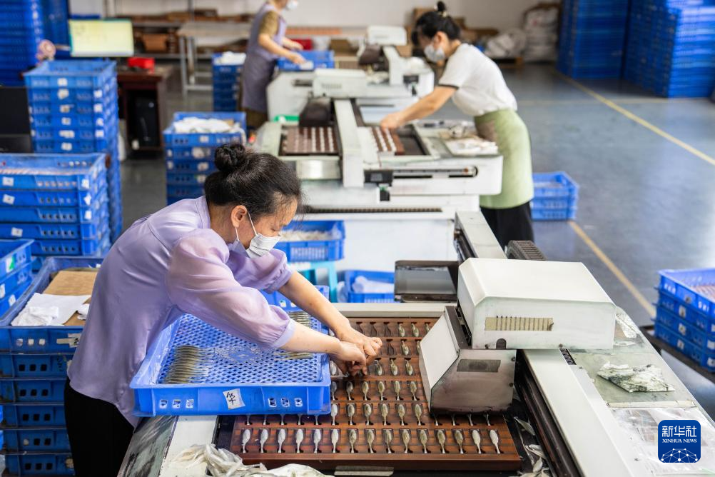 7月1日，在湖南临湘浮标特色小镇的湖南瑞琦户外用品有限公司生产车间，工人在生产假饵。 新华社记者 陈思汗 摄