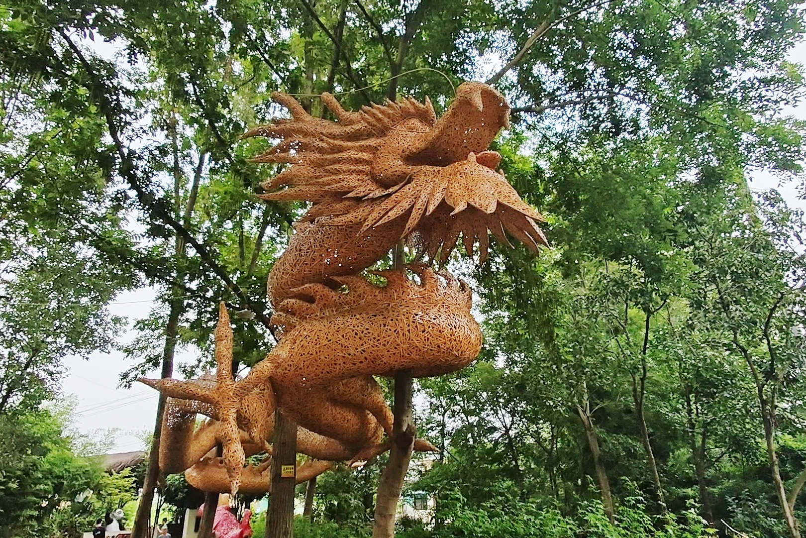 竹艺村腾空而起的竹编龙。