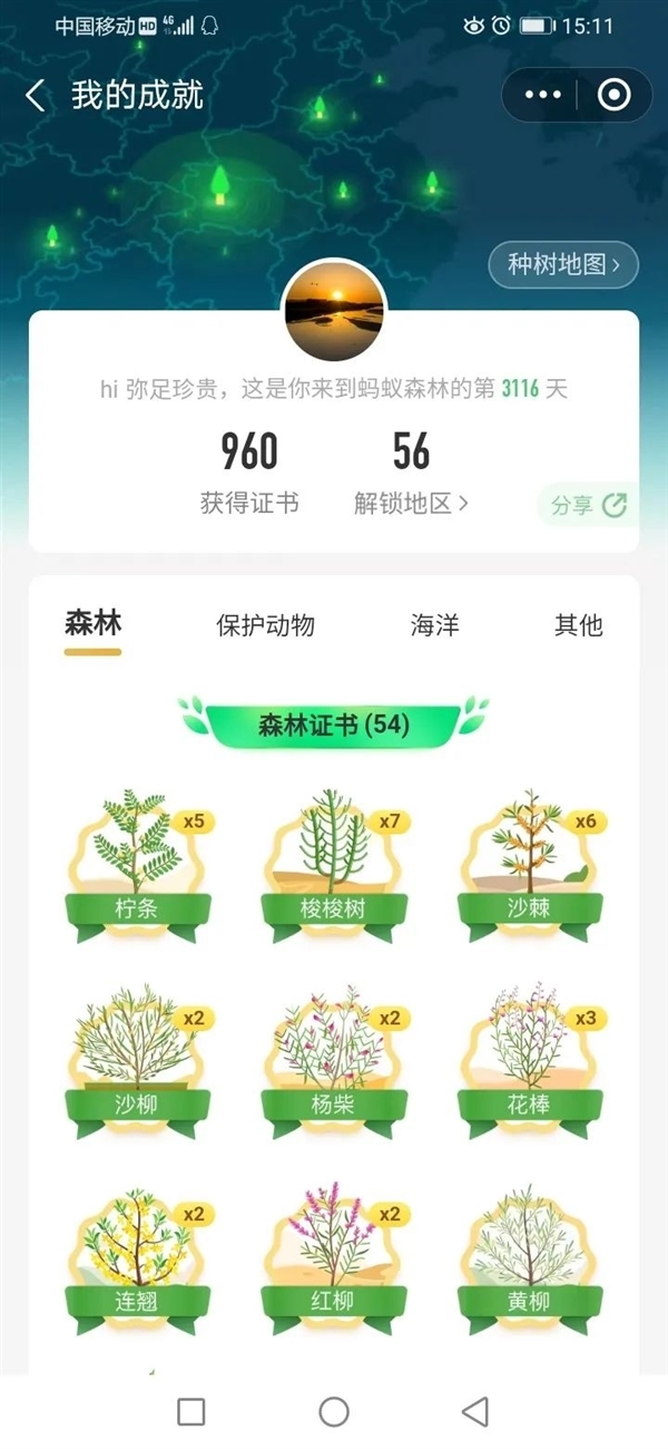 支付宝蚂蚁森林种了6亿棵树!只用短短9年