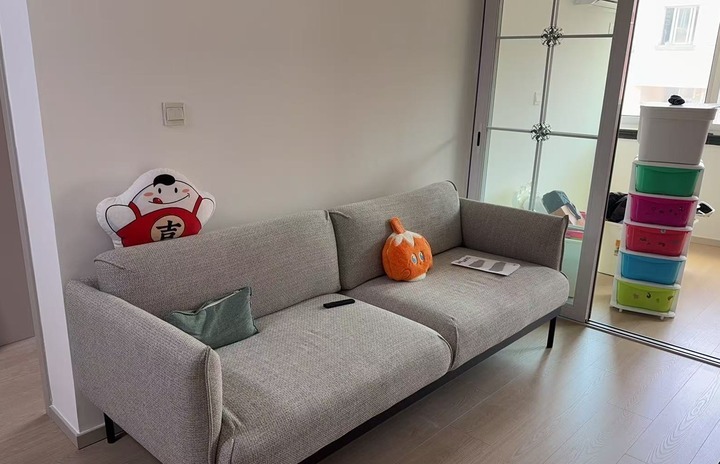 上海消费者张女士为旧房改造选购的新沙发。采访对象供图