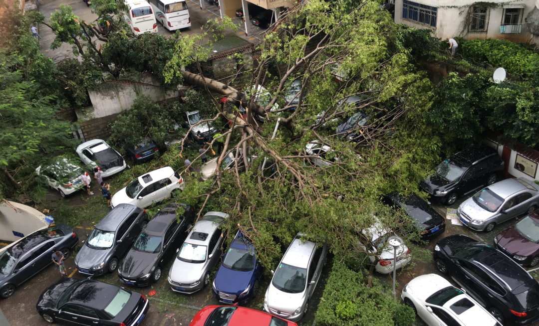 台风正面登陆厦门后,小区停车场的景象。(图/被访者供图)