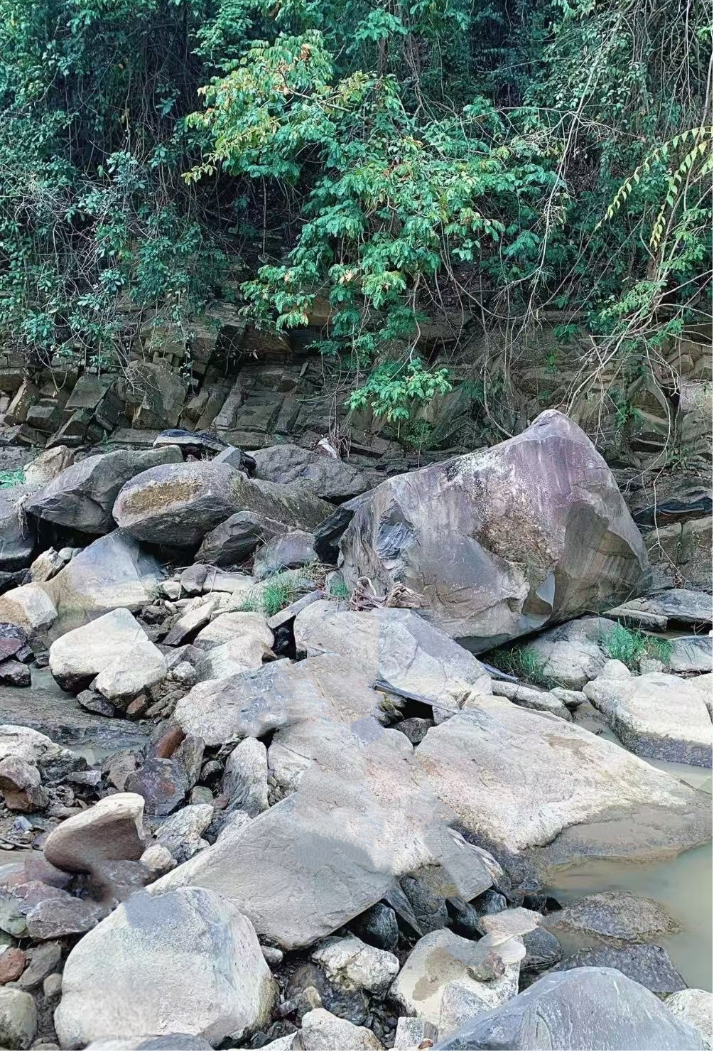 杨琴家附近的溪流