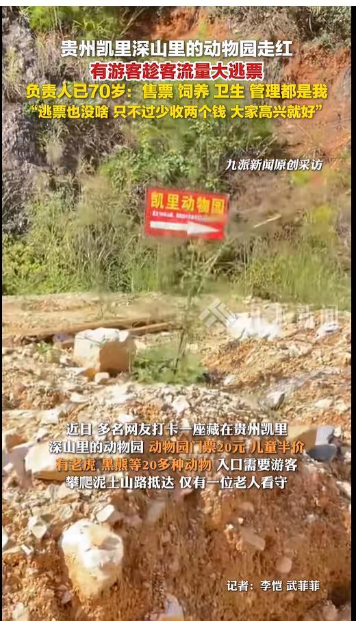 游客在凯里动物园被猴子抓伤后要求园区担责,知情人:私自违规投喂