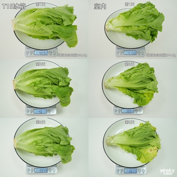 TCL冰麒麟深冷冰箱T15评测:-40℃深冷锁鲜+真双系统,重塑保鲜新高度