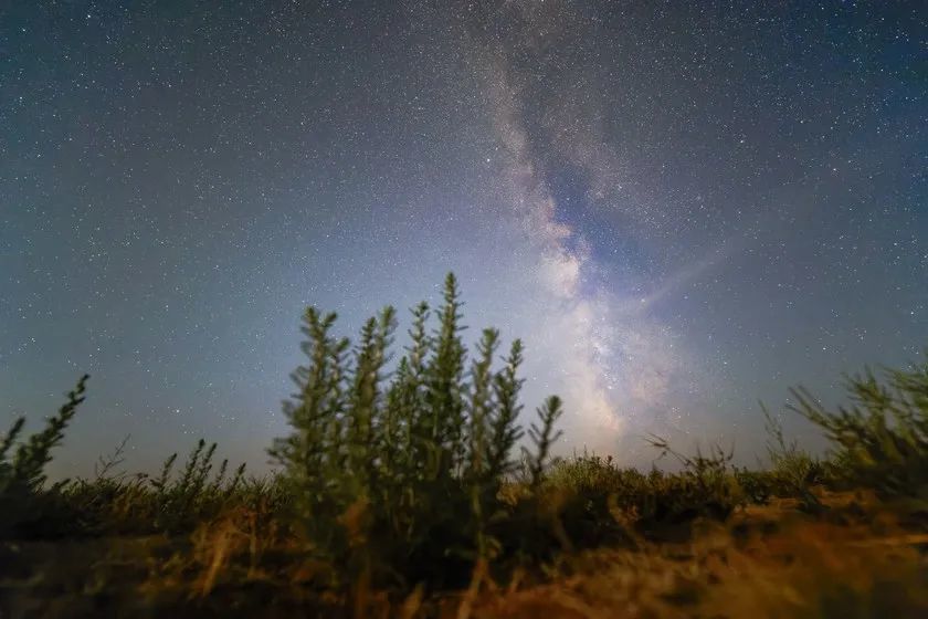 老蛙12mm F2.8评测 轻量化全幅自动对焦头的进化