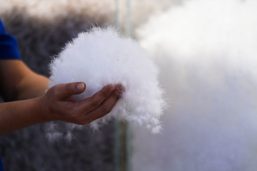 这是广西贵港市港南区桥圩镇产出的鸭绒(12月18日摄)。