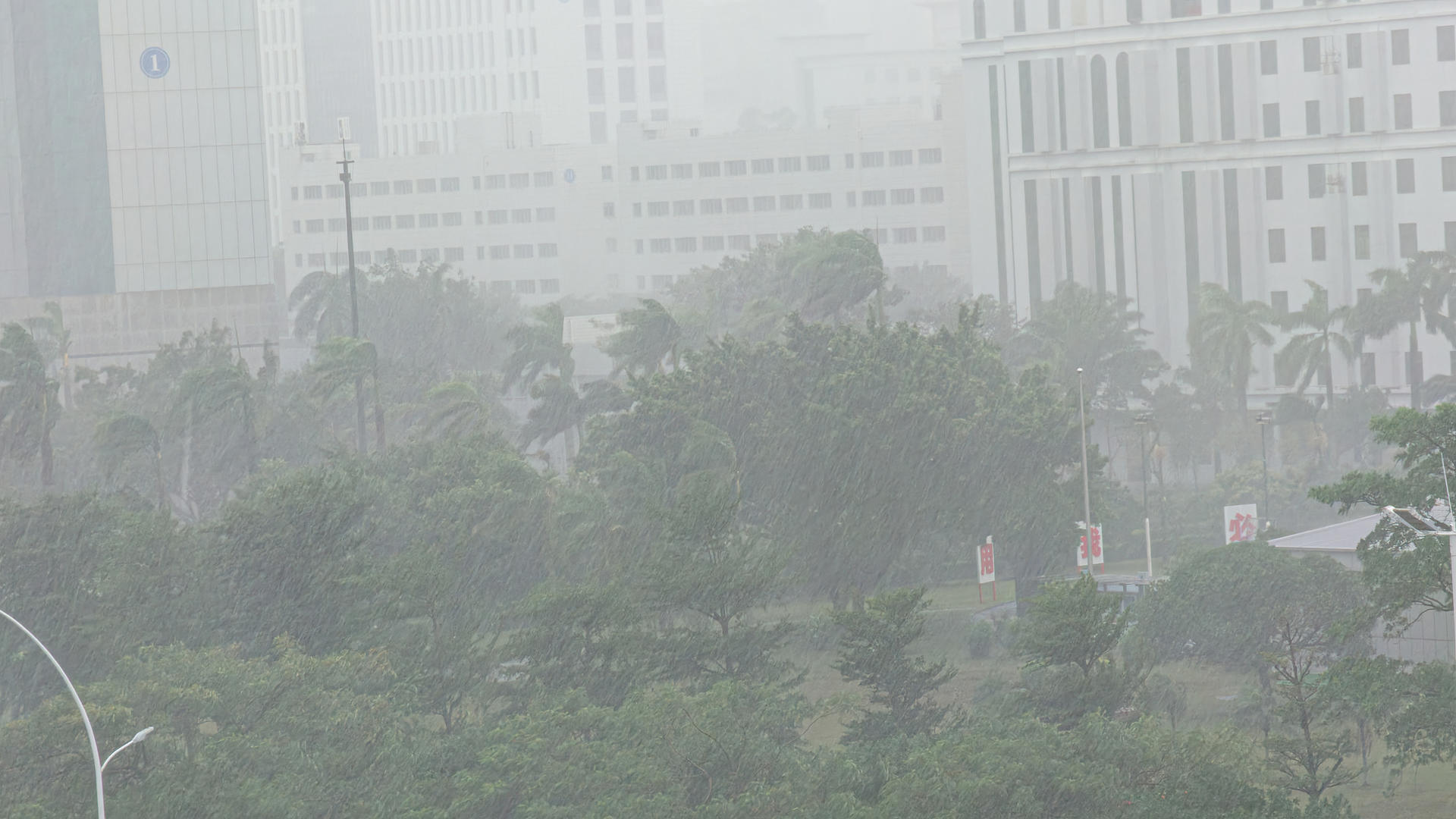 桦加沙”来袭！有网友晒“楼晃晃”，珠海居民称25层以上居民被疏散，业内人士释疑_凤凰网