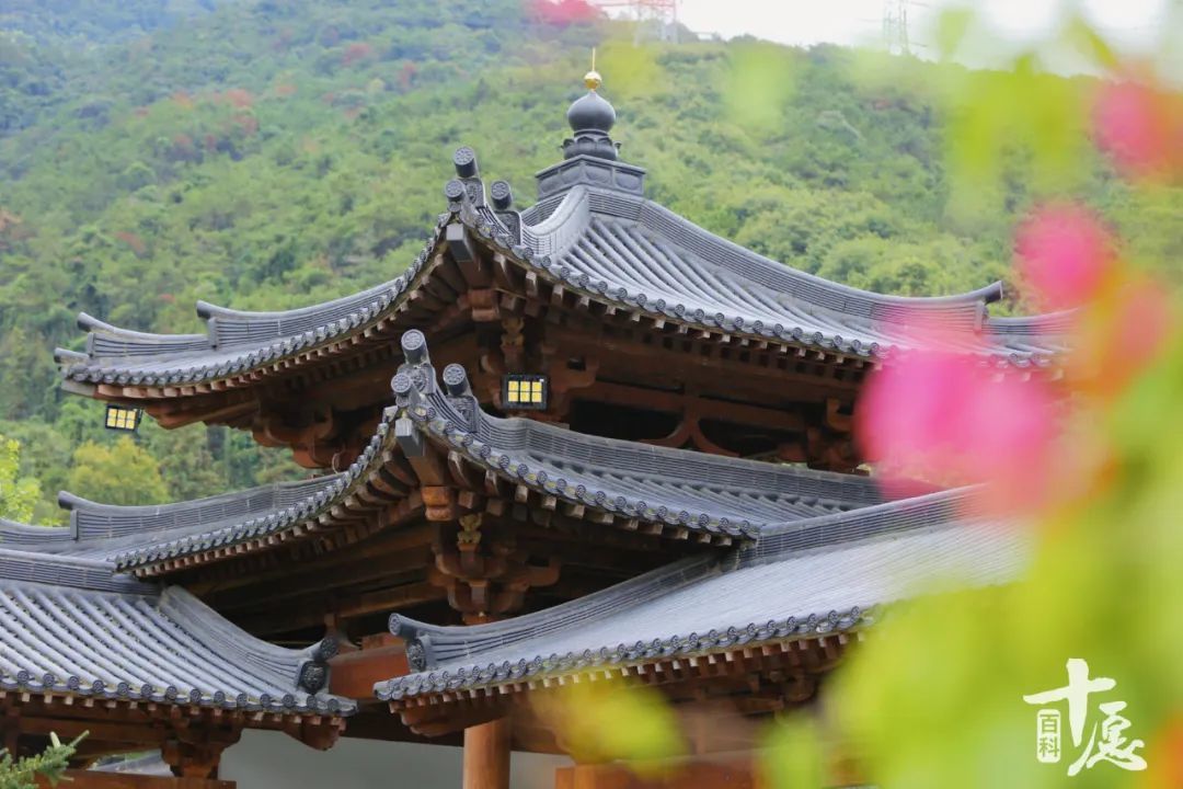 宫观祠庙寺庵同为礼拜祀神场所，缘何名称各异