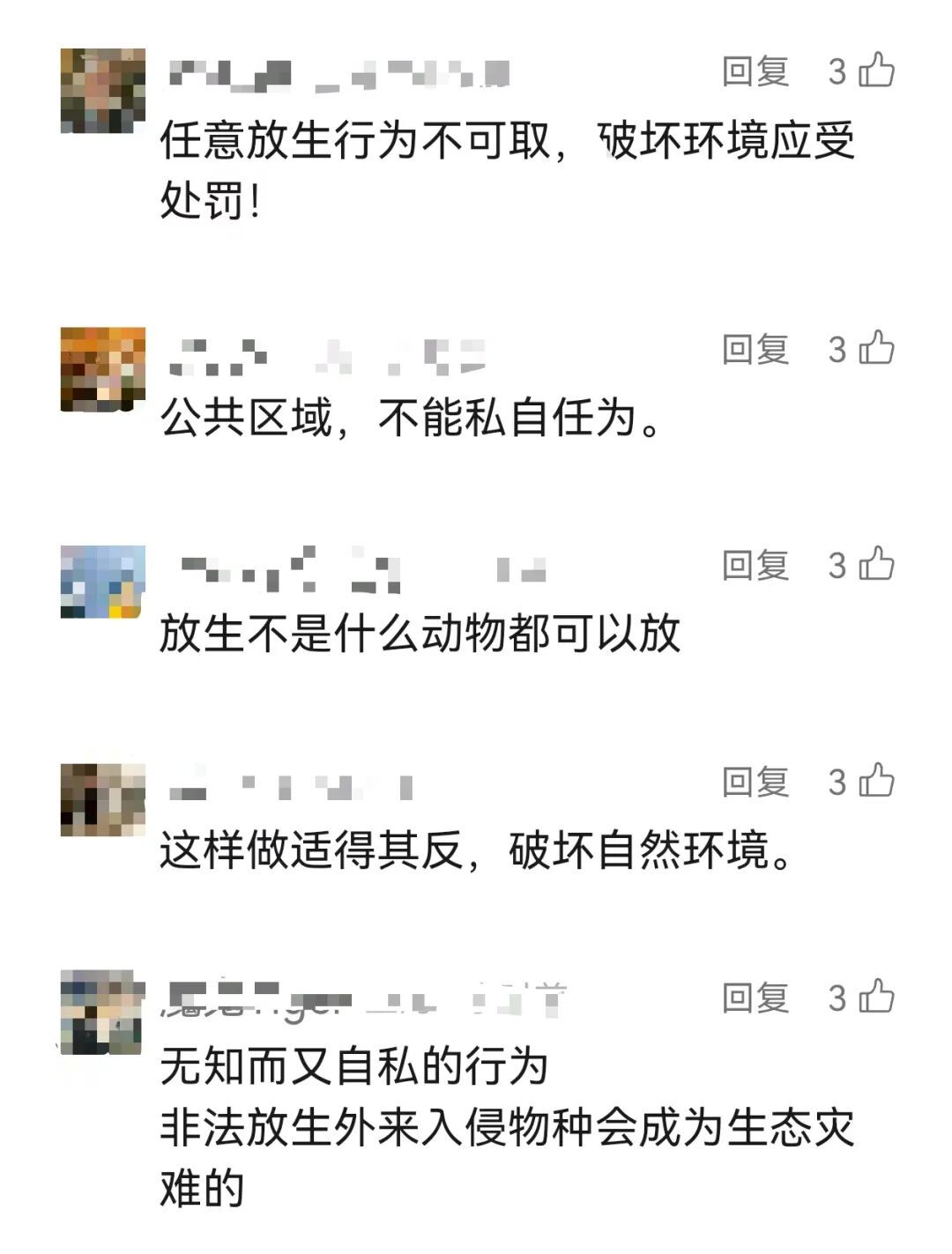 有人在上海苏州河放生牛蛙?“两大袋子哗啦倒进去了!”官方回应