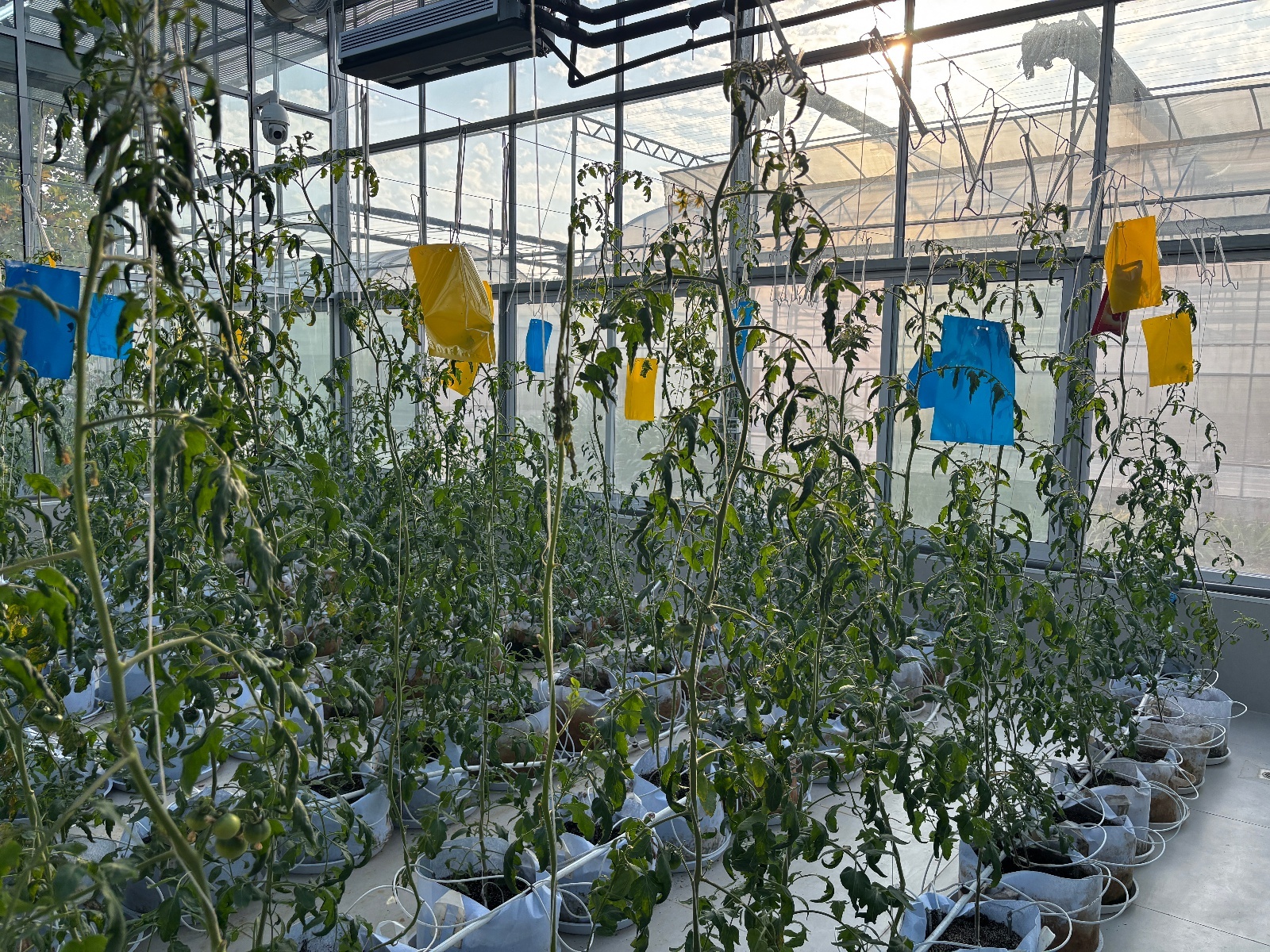 微信图片_20251114225519_338_200