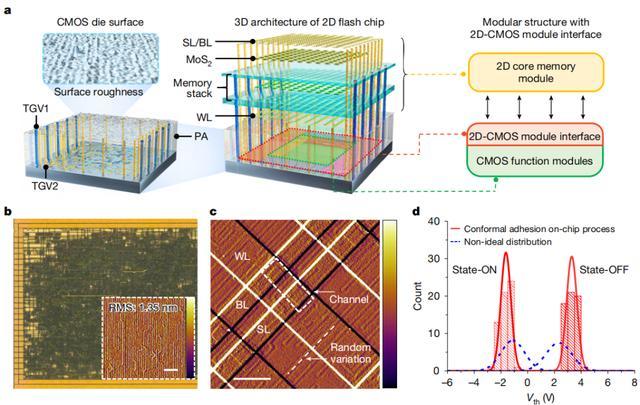 （来源：https://www.nature.com/articles/s41586-025-09621-8#citeas）