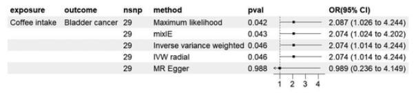 中国研究揭示咖啡致癌风险:遗传学证据显示膀胱癌风险翻倍
