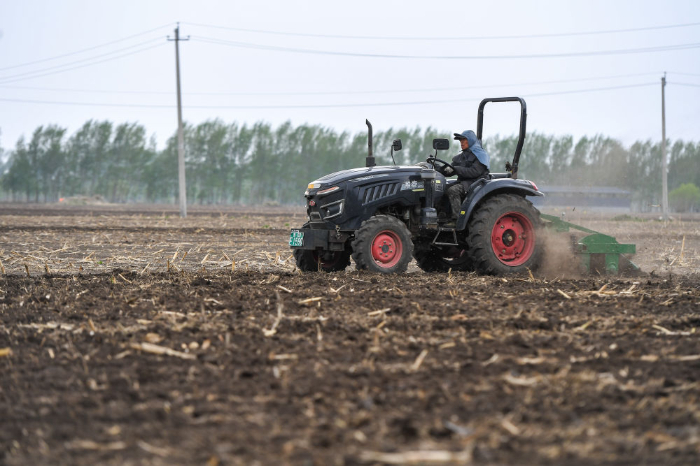 在吉林省公主岭市陶家屯镇马家店村，合鑫种植农民专业合作社农民驾驶旋耕机为播种做准备（2025年5月8日摄）。新华社记者张楠摄