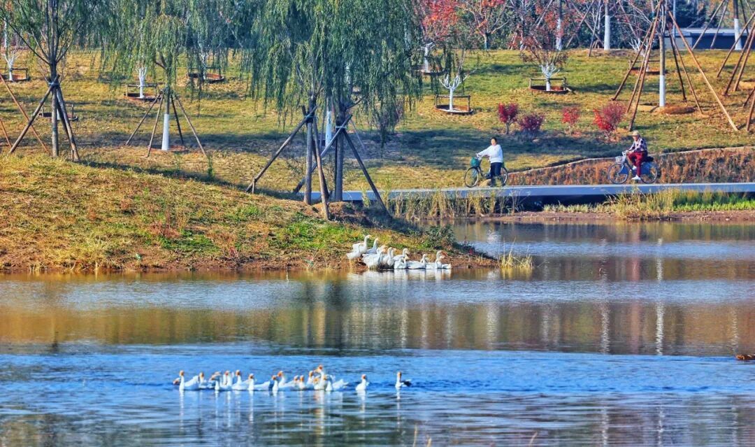坝河“破茧”焕新,点亮城市滨水生活