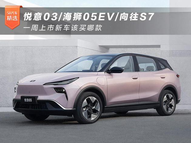 悦意03/海狮05EV/向往S7 一周新车买哪款
