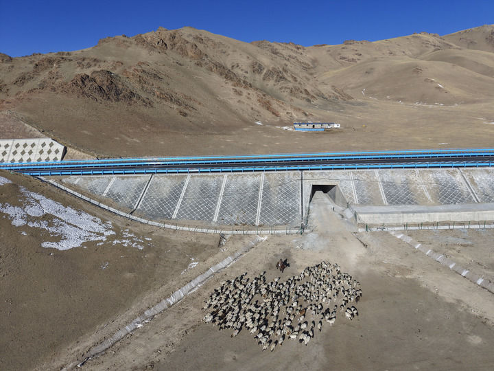 在新疆和静县,牧民骑马赶着羊群行进在乌尉高速公路旁(2025年12月23日摄,无人机照片)。新华社记者 胡虎虎 摄