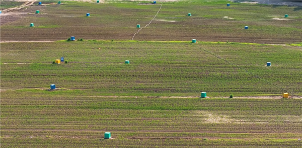 在玉米地和牧场里采铀!中国的铀矿到底是怎么开采的