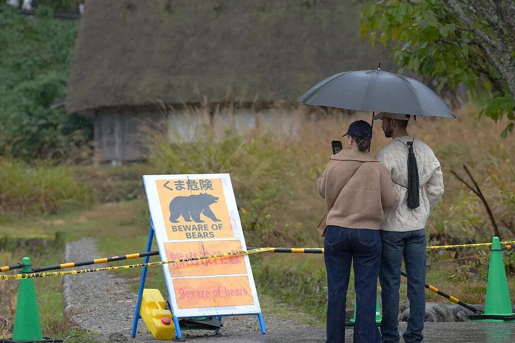 日本岐阜县白川村，熊出没指示牌 图/视觉中国