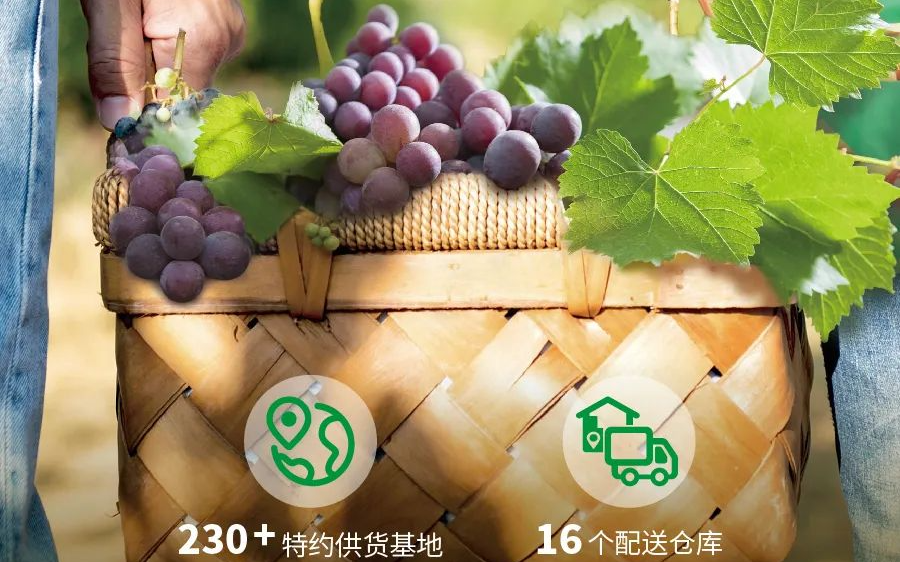 “水果零售第一股”逆风翻盘!单店毛利回升,结构优化初显成效