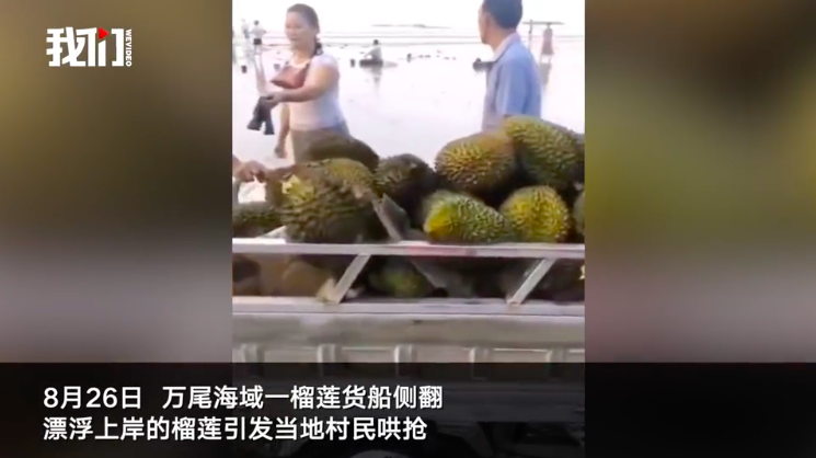 2021年，一艘装载榴莲的货船翻了，当地村民纷纷打捞榴莲回家吃，结果村民中出现500多人次的腹痛、腹泻、呕吐症状，根据广西疾病预防控制中心的的调查结果，这批海上榴莲带有副溶血性弧菌丨视频截图@新京报“我们”视频栏目