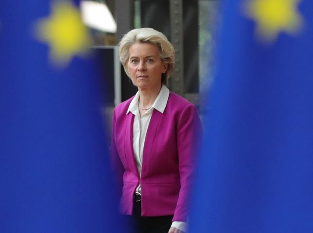 尽管冯德莱恩高呼稀土自主,但时间不等人