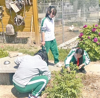 我国再添四处世界灌溉工程遗产(新时代画卷)