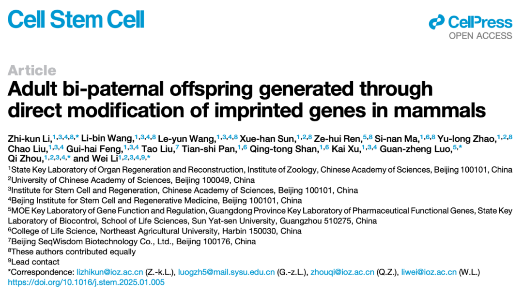 2025年1月，李治琨等人发布在Cell Stem Cell上的论文标题截图。