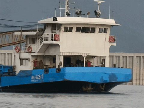 OPPO Reno14实况照片体验 视频能转录全焦段清晰