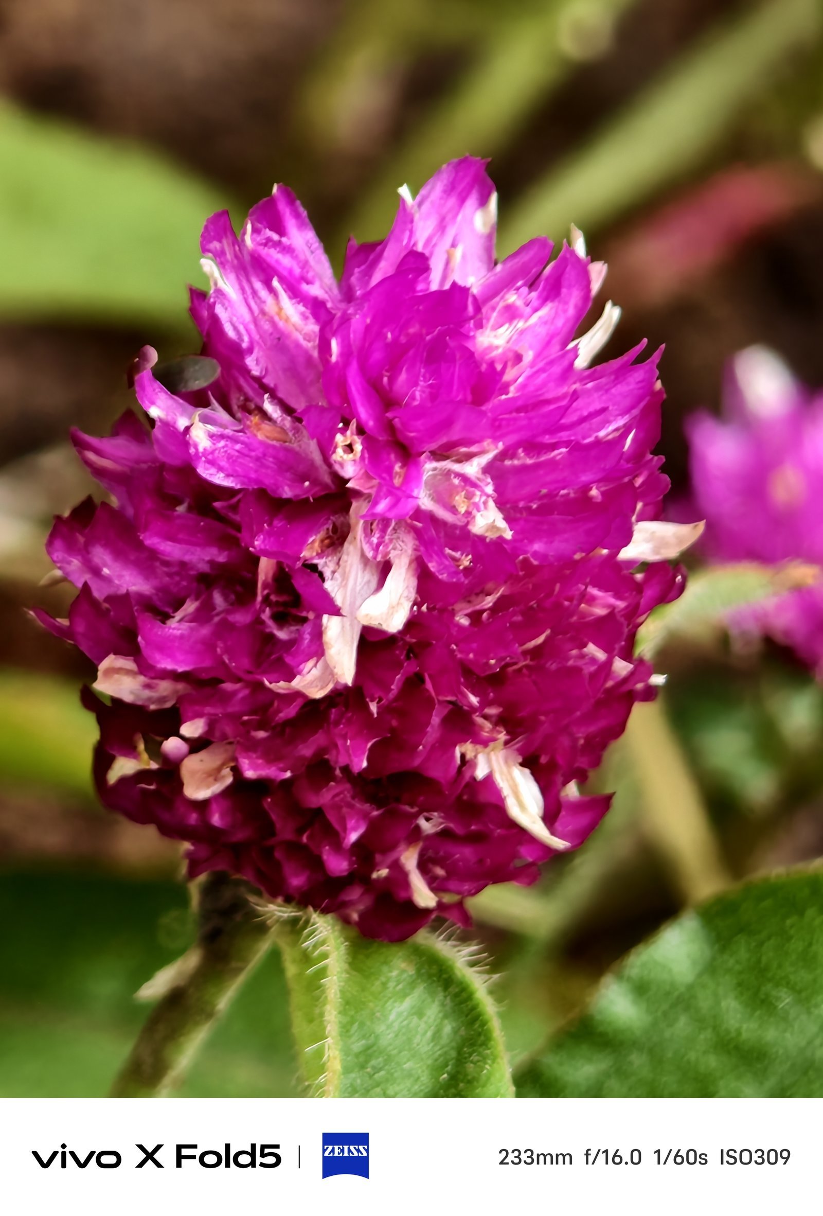 vivo X Fold5评测:更轻更强的轻办公神器