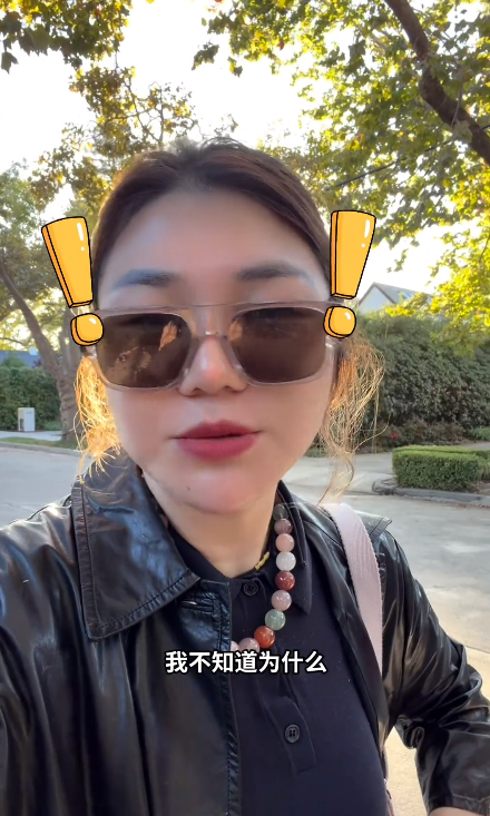 网友质疑杨天真吐槽系统更新打不开车门 从后备箱爬进去 特斯拉回应