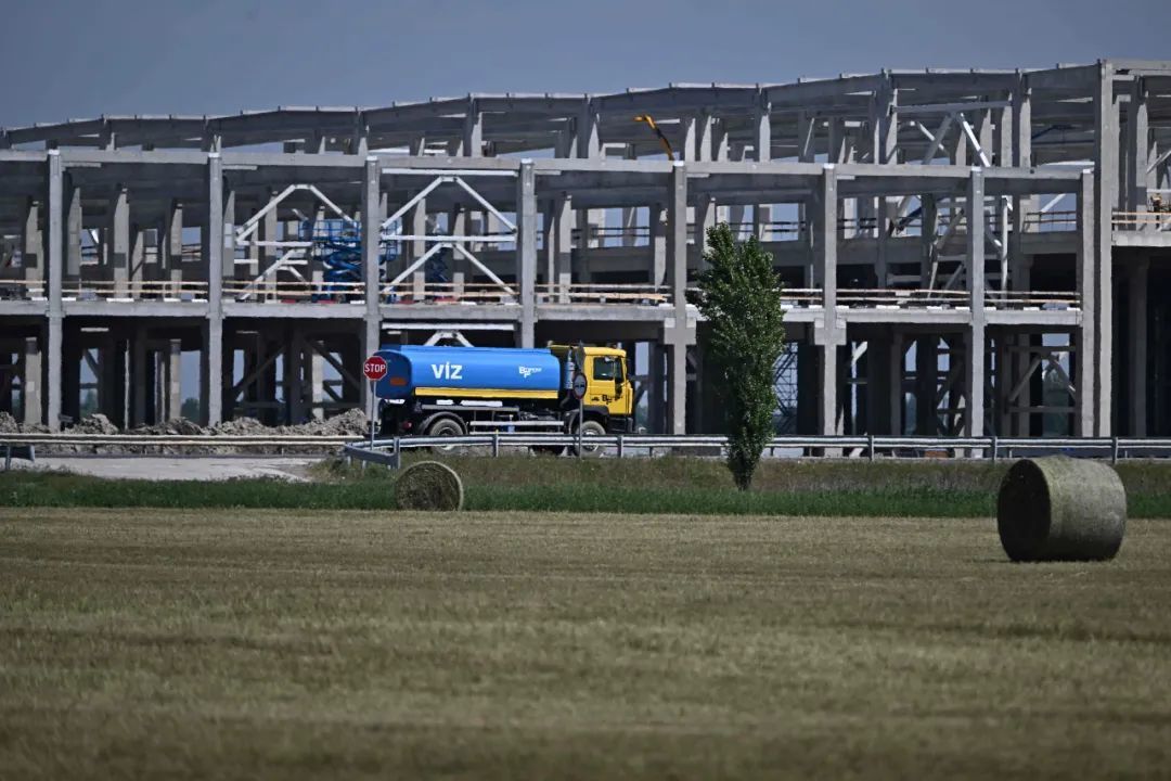 “宁王”再赢一局