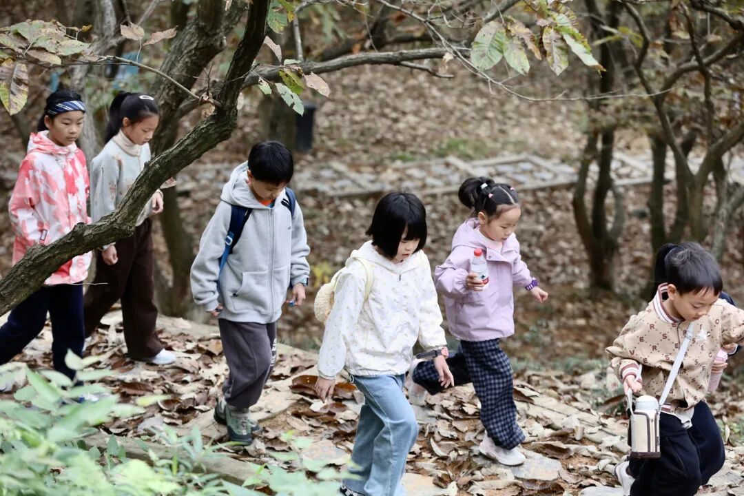 11月12日,湖州市德清縣,一群趁著秋假走出課堂的中小學生來到象月湖度假谷開展研學活動 圖源:潮新聞客戶端