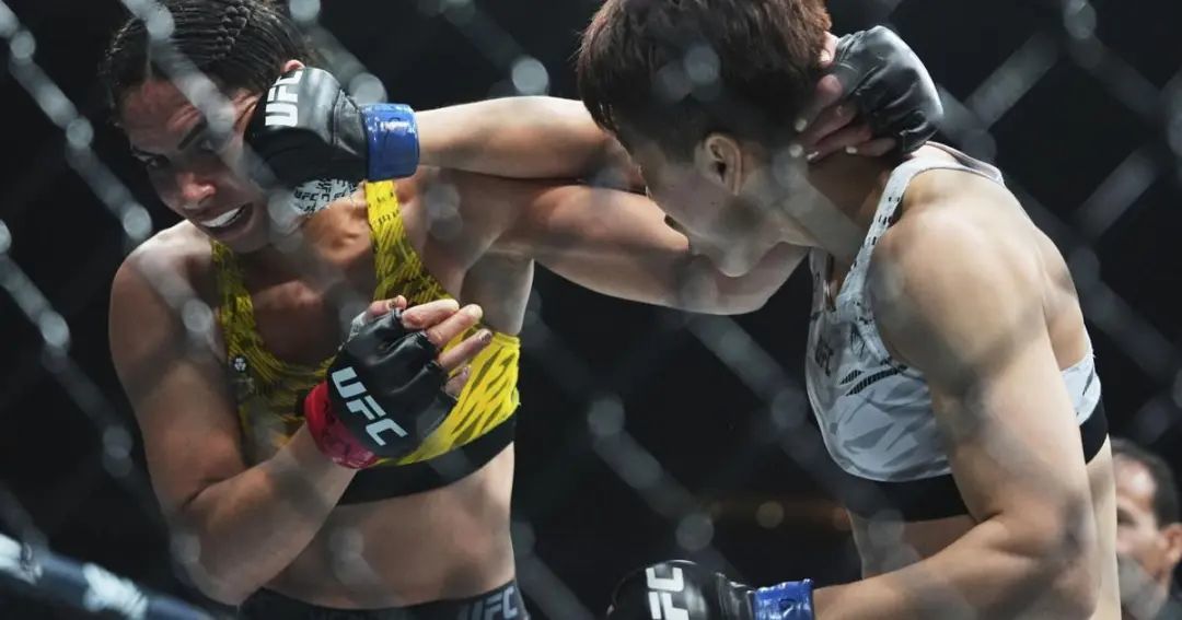 UFC 316 Mixed Martial Arts | Ap | midfloridanewspapers.com