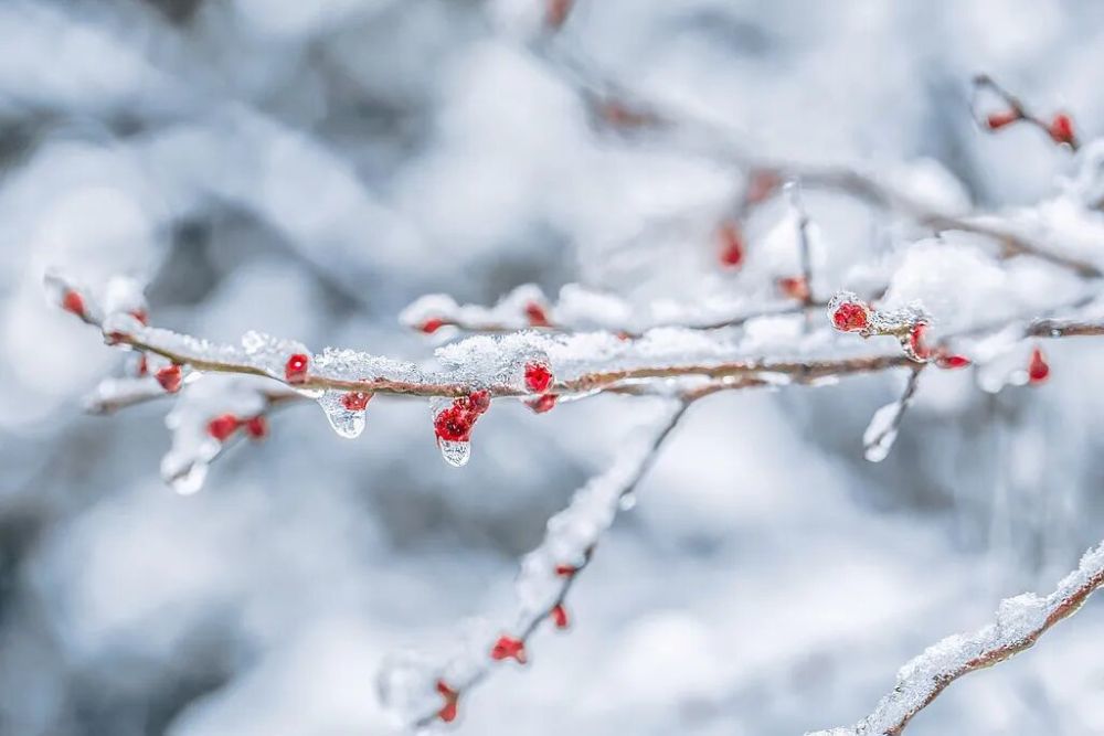 ���ն�����Ҫ����Щ�£�