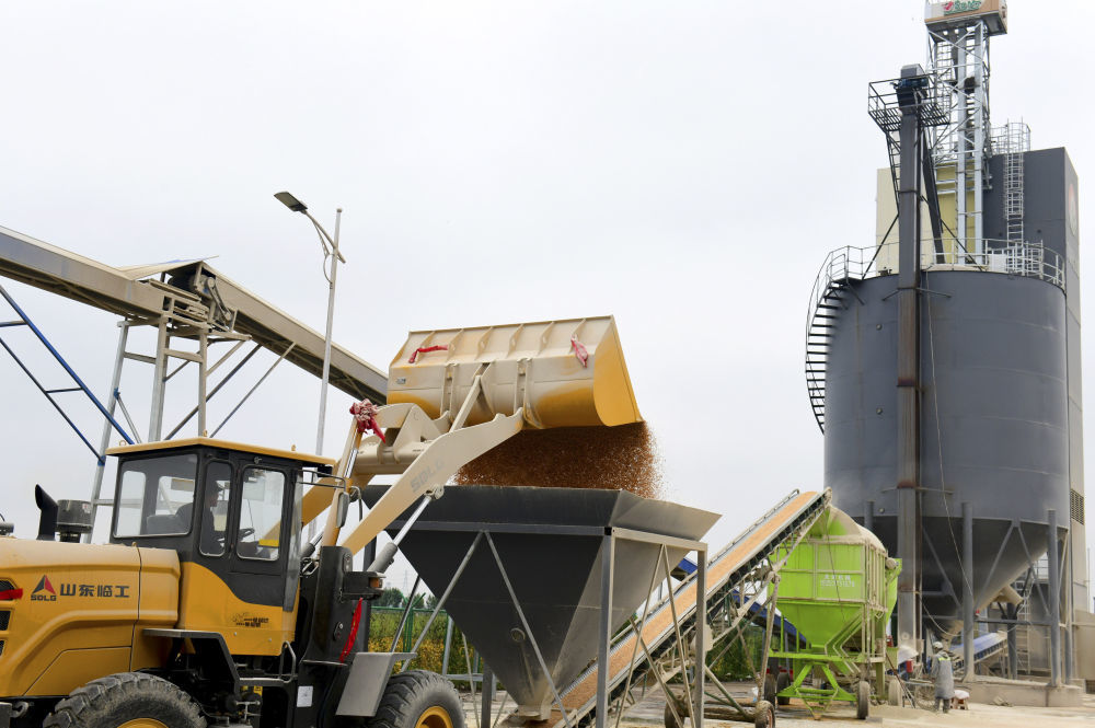 2025年10月11日，在山东省菏泽市郓城县丁里长街道一处粮食烘干点，工作人员往烘干设备里投放玉米。新华社记者 郭绪雷 摄