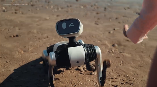 9988元！Vbot发布首款无需遥控机器狗“大头BoBo”