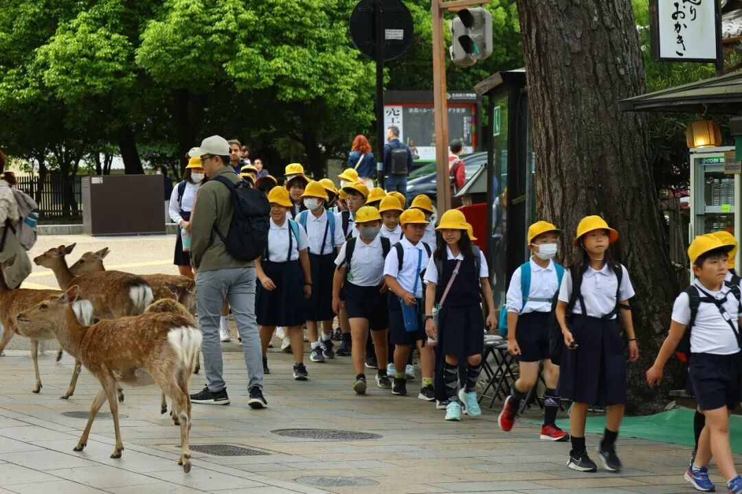 示意图,图源:东方IC