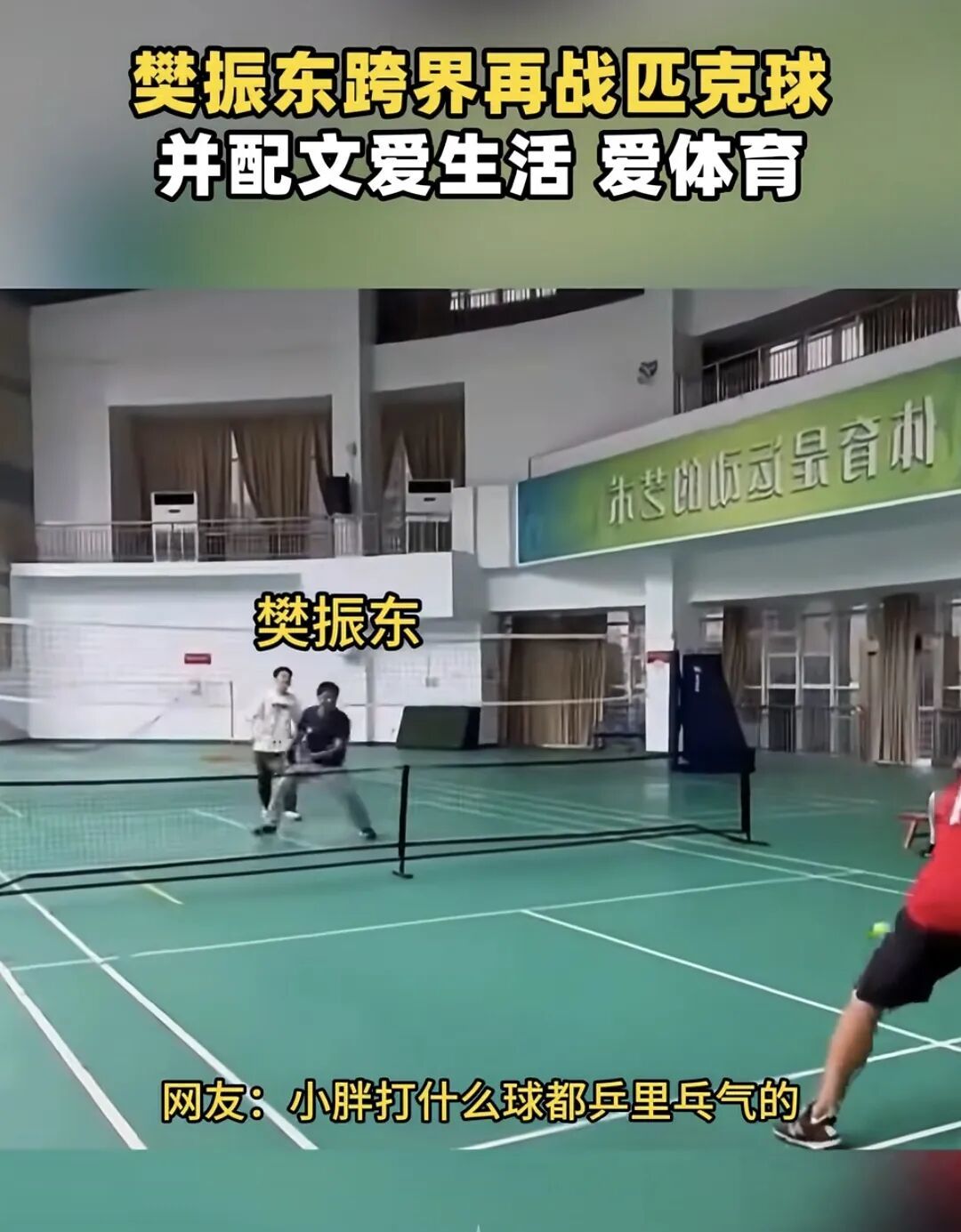 樊振东跨界打匹克球。(图/网络截图)