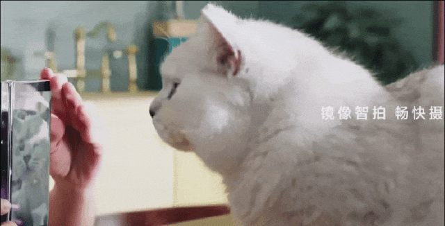 华为三折叠屏新机又放大招!带外折薄过直板机、主摄自拍 + 手势切屏体验拉满…