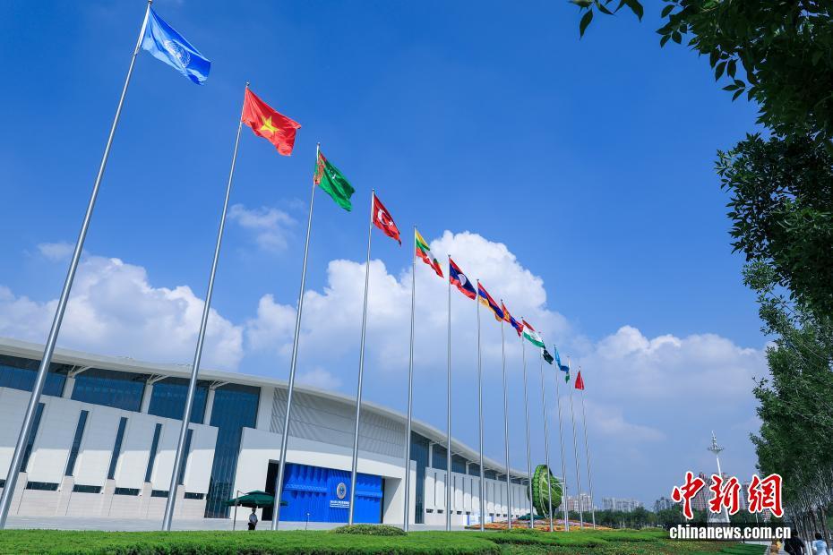8月31日，天津，参加2025年上海合作组织峰会的各国旗帜在主会场外迎风飘扬。 中新社记者 佟郁 摄