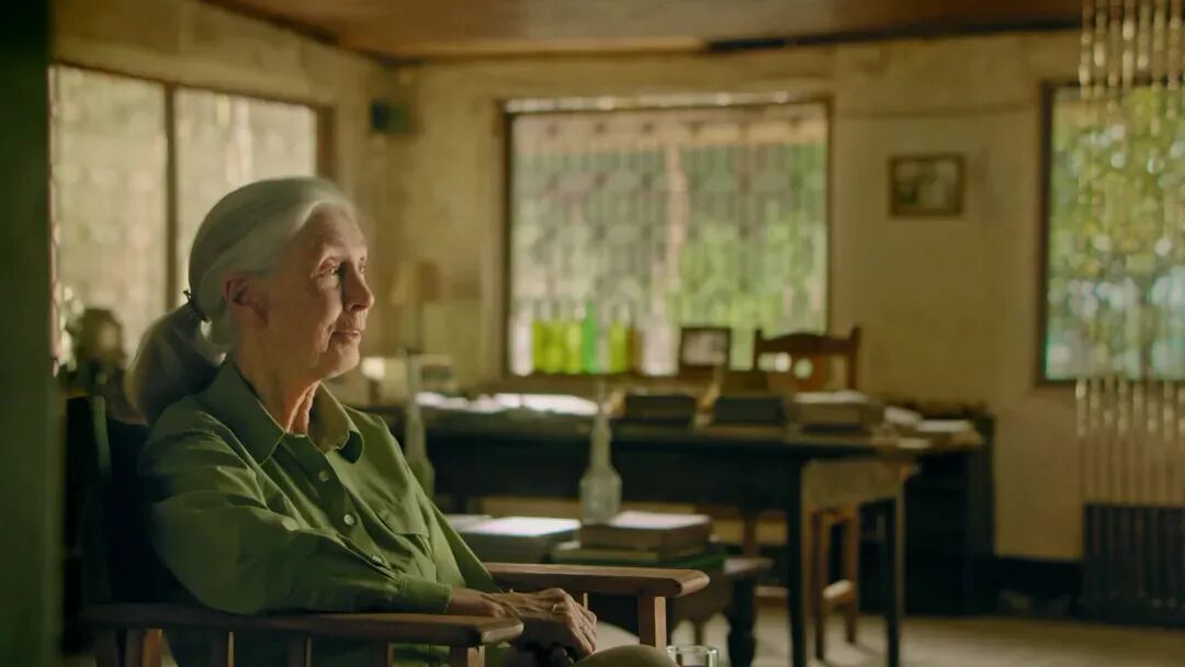 《珍·古道爾的傳奇一生》劇照