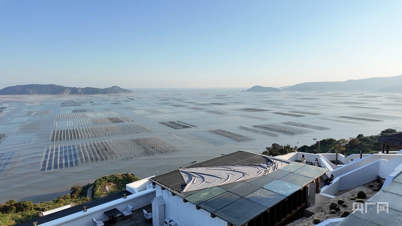 七彩的“紫菜牧场”成为苍南大渔湾一道亮丽的风景(央广网发 陈盛华 摄)