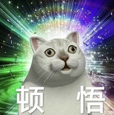 稚晖君,昨夜冲进了科创板