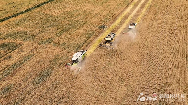 mmexport1749038324493