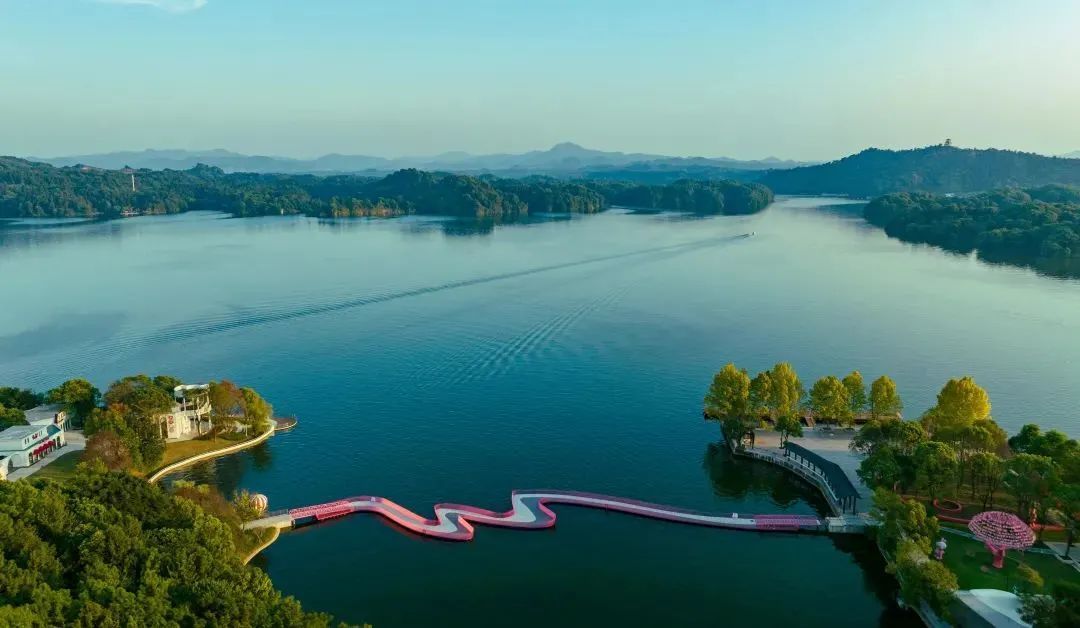 （图片来源：江西宣传）