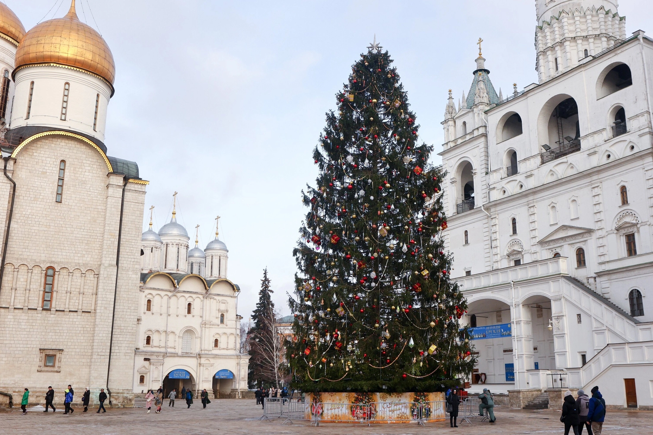 俄罗斯新年第一树的故事