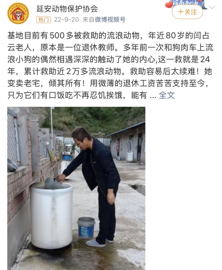 图源:微博@延安动物保护协会