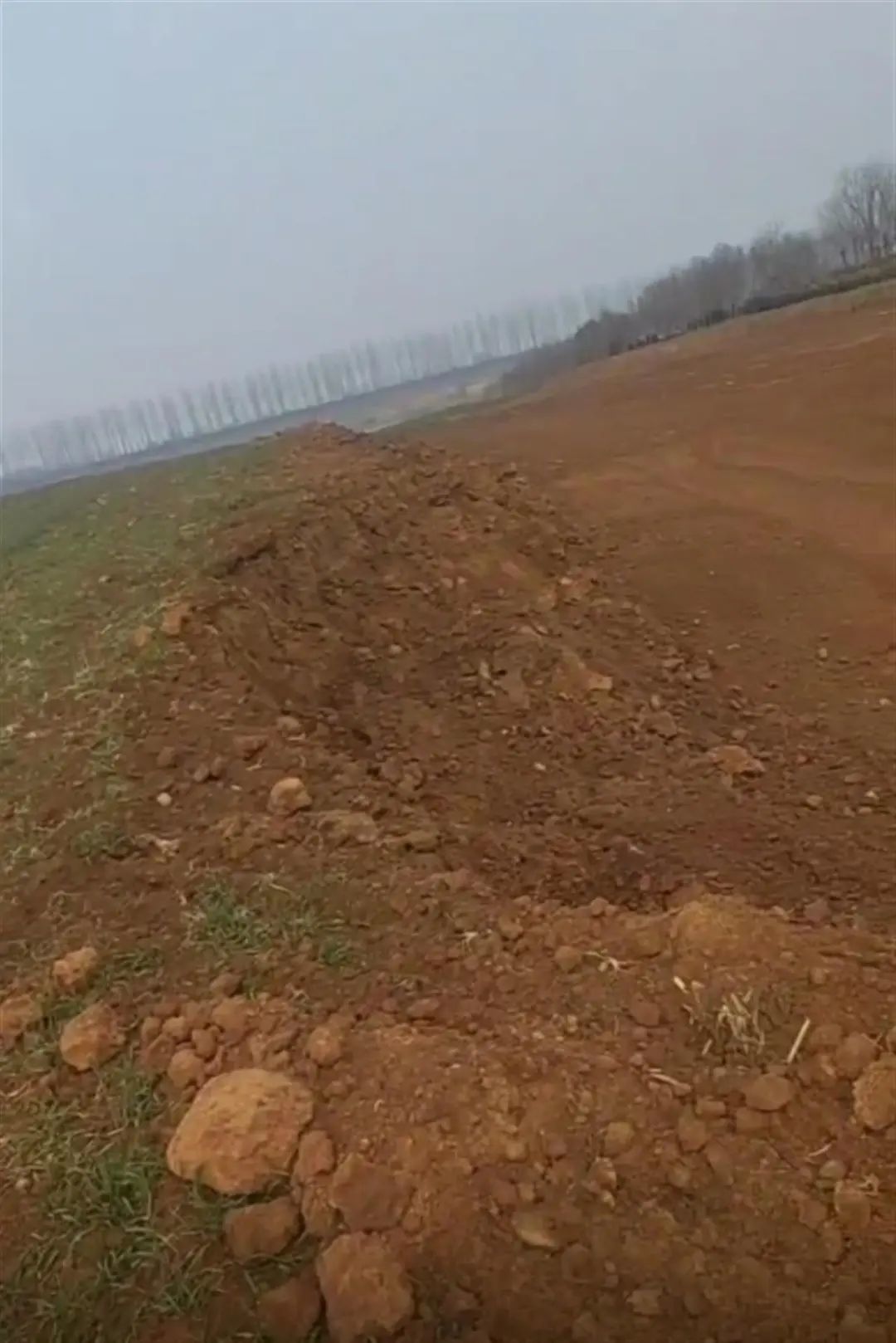 被挖土破坏的农田(现场视频截图)